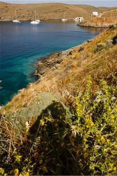métier